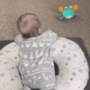 Crawling crab with motion detector