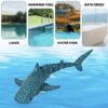 Remote Controlled Shark in water